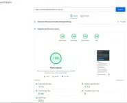 Page Speed Insights website test for this site showing perfect 100's for mobile