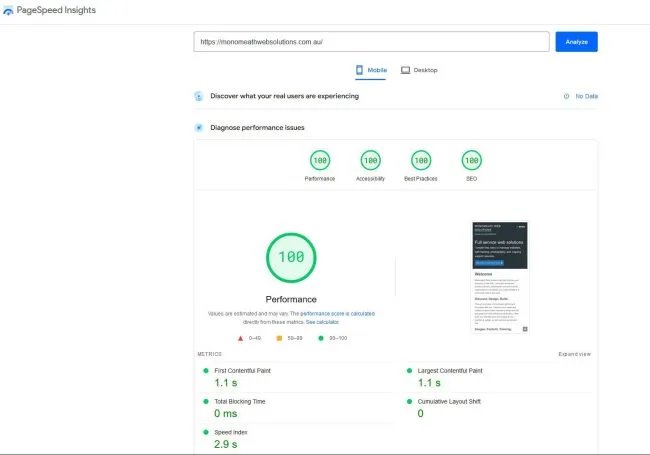 Page Speed Insights website test for this site showing perfect 100's for mobile